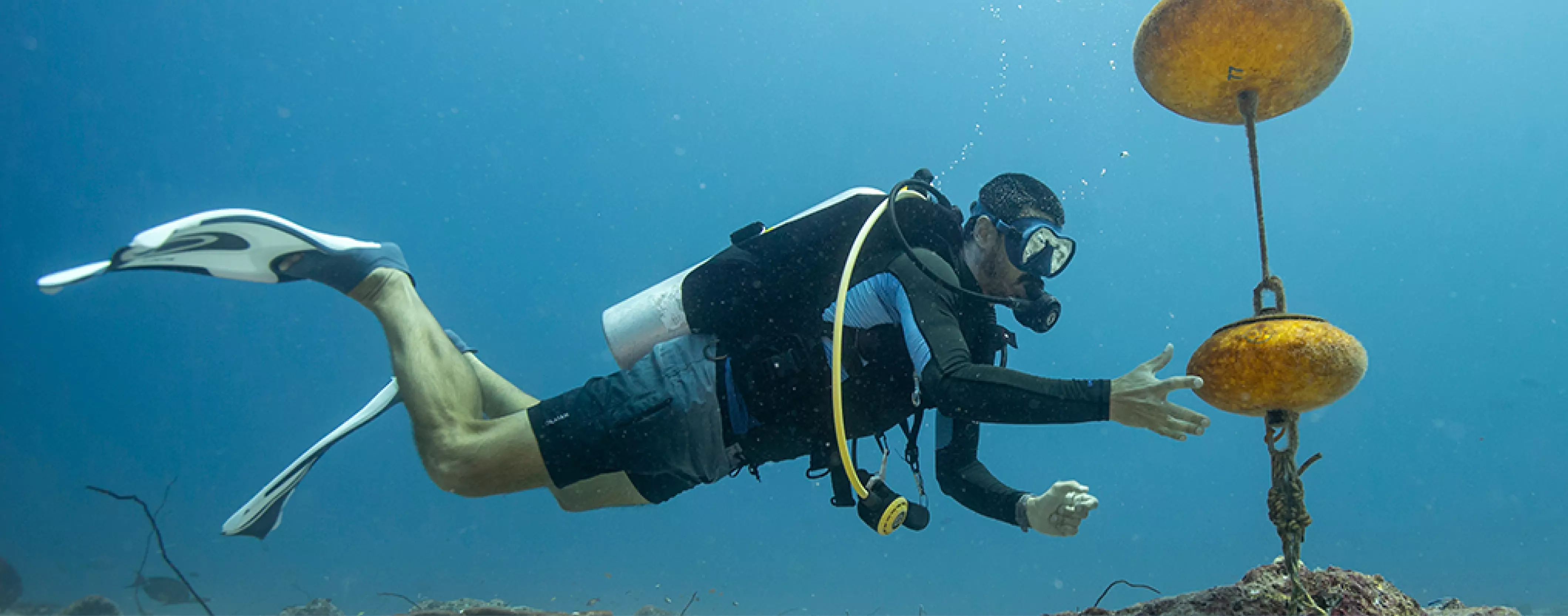 General Oceans Careers