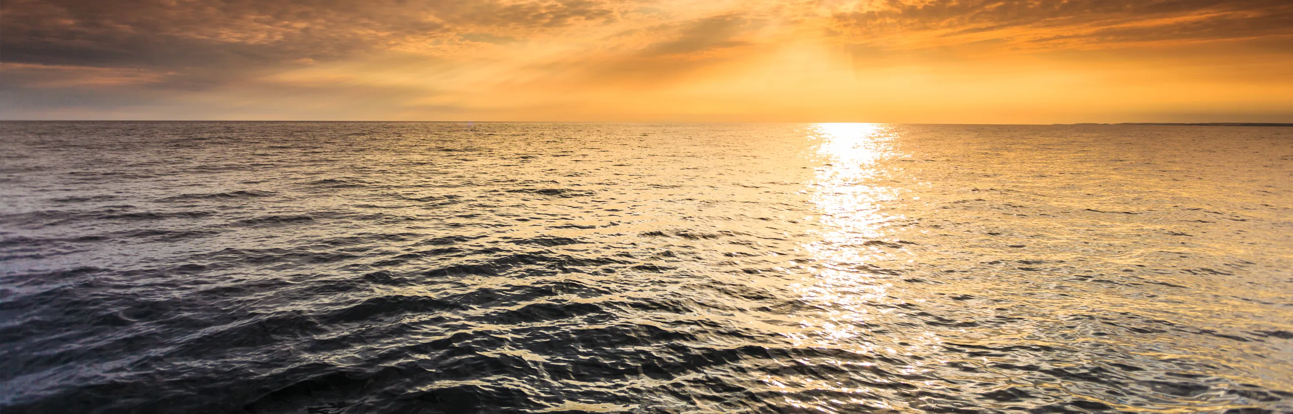 Ocean technology careers at General Oceans and its specialist brands
